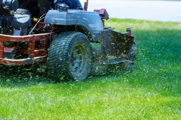 Wright Cut Lawn Services' Other Services